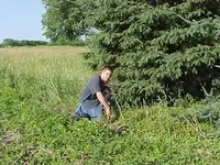 farm hunt3.webp