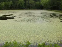 HPIM0271 (Small).webp