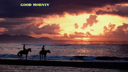mornin.webp