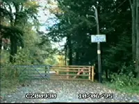 !CZ009030.webp