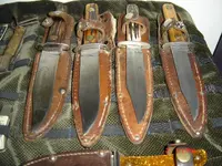 Just some Fixed Blades.webp
