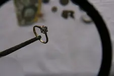 Ring-950.webp
