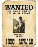 wantedposter.webp