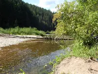 000_1820.webp