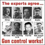 gun_control_works2.webp