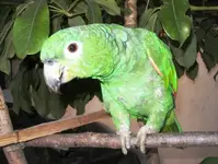 Rebecca.webp