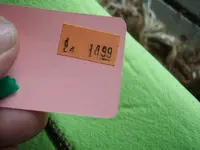 P7201820.webp