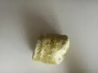 Possible Fossil 004.webp