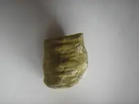 Possible Fossil 006.webp