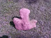 TRAIL MARKER.webp