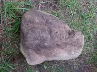 PREHISTORIC FOOTPRINT.webp