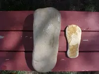FOOT PRINT HUMAN BOTTOM.webp