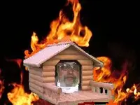 flames1.webp