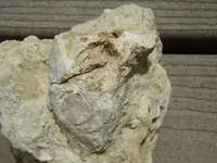 P7251544_614x461.webp
