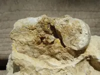 P7251546_614x461.webp