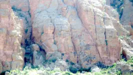 waterfall image.webp