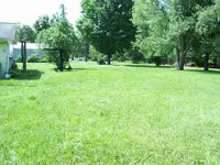 100_0276.webp