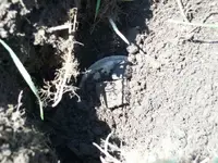 100_0271.webp