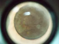 100_0291.webp