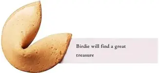 bird.webp