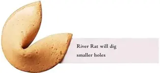 riverrat.webp