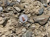 mortar 056.webp