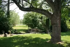 IMG_3811.webp IMG_3811.webp