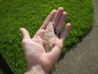 P7200146_resize.webp