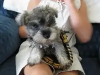 lovey 1.webp