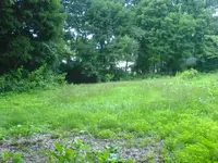DSC01835.webp