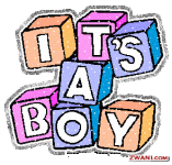 itsaboyblocks.gif