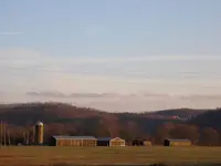 P1010060.webp