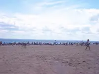 8908 010.webp 8908 010.webp