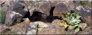 Rockhunter.webp