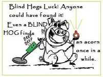 another_blind_hog[1] (2).webp