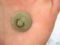 button 2.webp