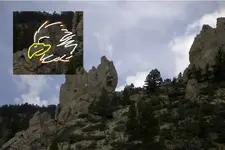 eagle head.webp
