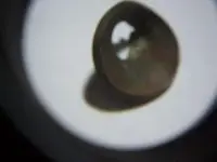 bullet hole 002.webp