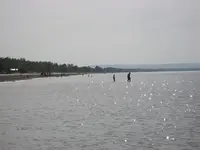 water  hunt 020.webp