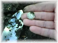 1877 dime.webp
