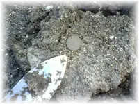 shield nickel.webp
