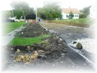 The site.webp
