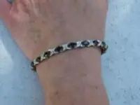 Gold bracelet 001.webp