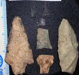Sav. River. et al.webp