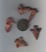 Bird Points Sandlin.webp