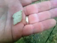 preform in hand.webp