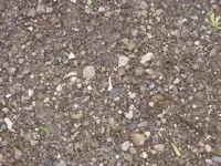 097_resize.webp