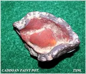 TX98 500.webp