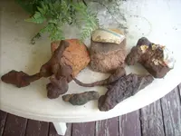 Picture 082.webp