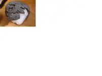 untitled.webp